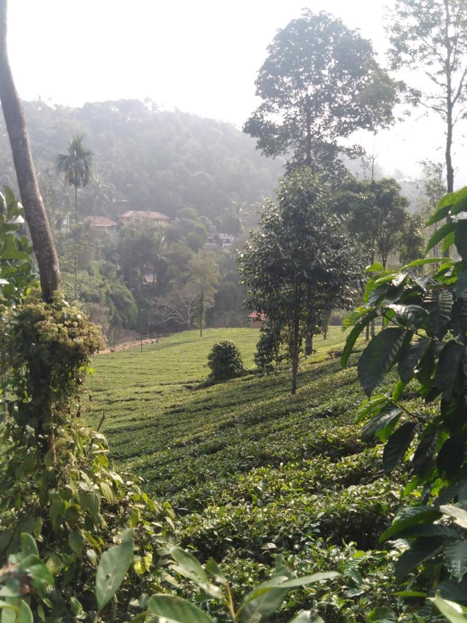 Letstay Vythiri Hill Palace Eksteriør billede